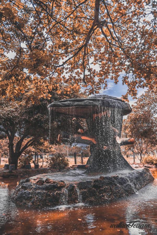 Hotel diRoma Fiori - Parque Aquático e Muitas Piscinas Caldas Novas Esterno foto